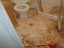 Sewage-Before-Cleanup_reduced