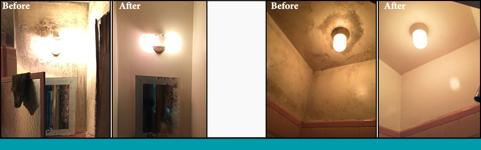 trifect - before after - mold removal