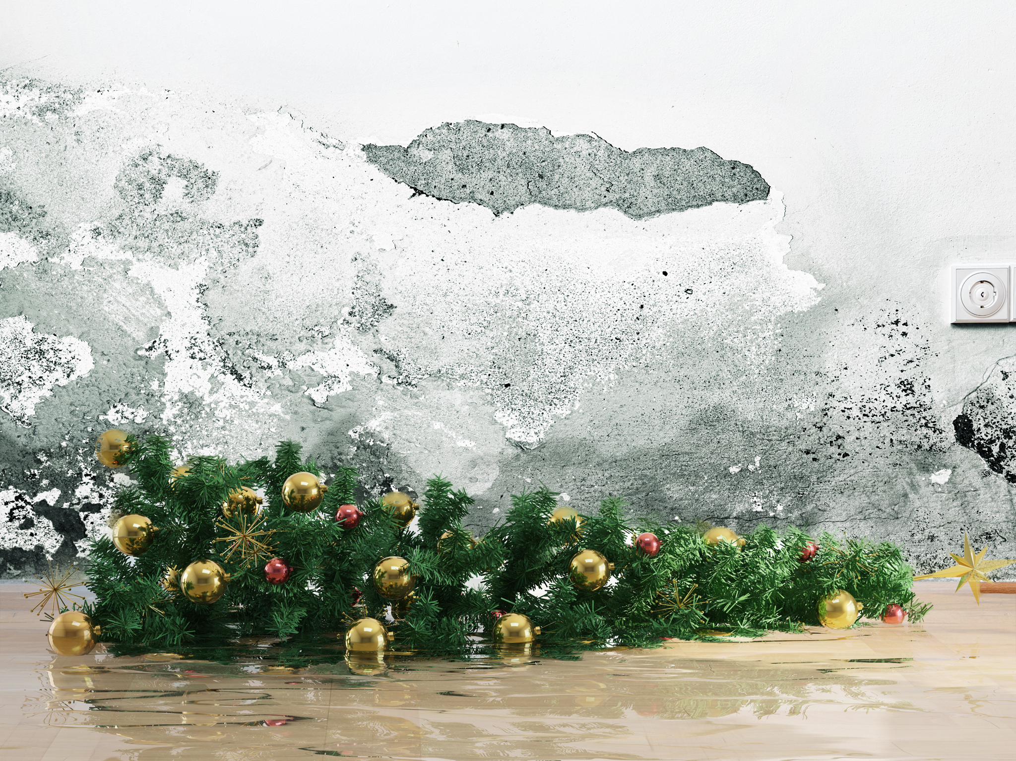 Mold and Christmas tree