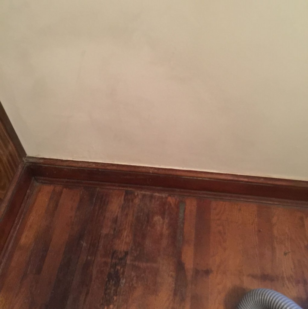 Trifect Mold Remediation - After