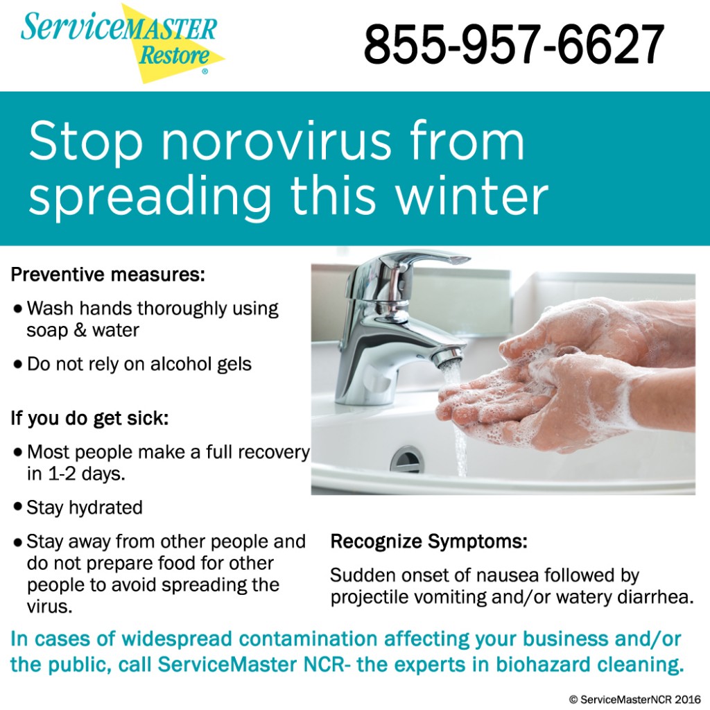 Norovirus mold prevention