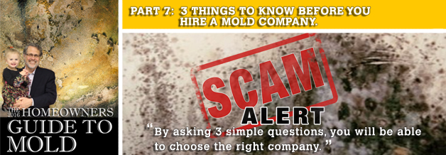 3 critical questions to ask every mold company