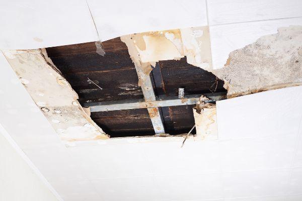 water damage cleanup alexandria