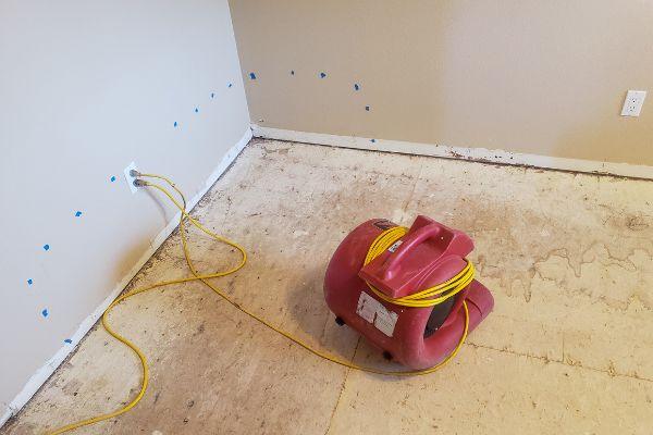 Water Damage Cleanup in Alexandria