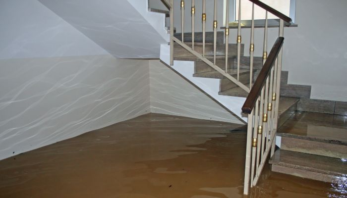 Flood Damage Restoration in Alexandria